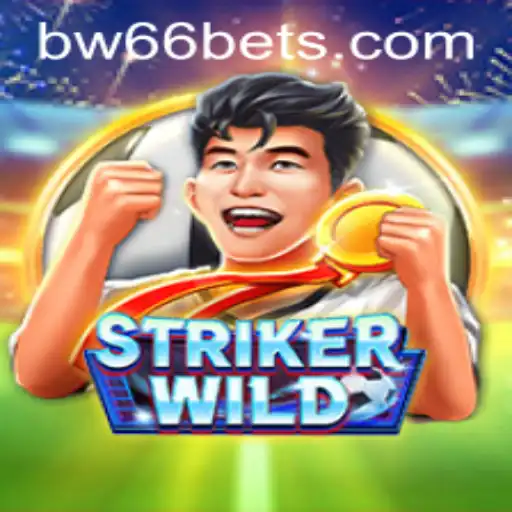 BW66 Casino App